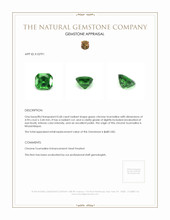 0.68 Ct. Chrome Tourmaline from Mozambique Appraisal
