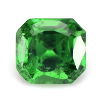 0.68 Ct. Chrome Tourmaline from Mozambique Video