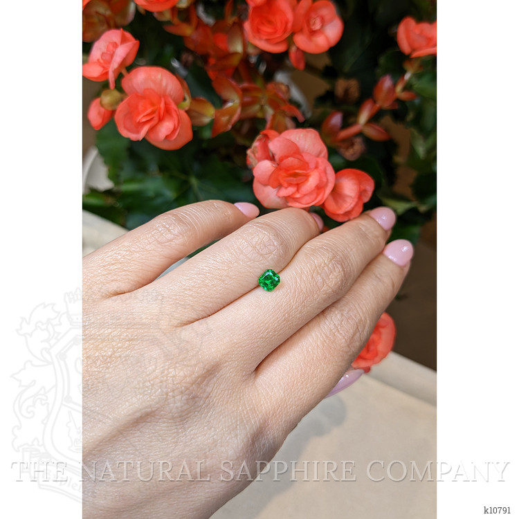 0.68 Ct. Chrome Tourmaline from Mozambique