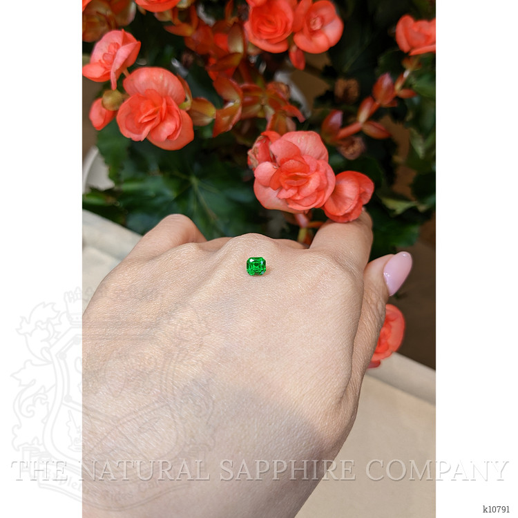 0.68 Ct. Chrome Tourmaline from Mozambique