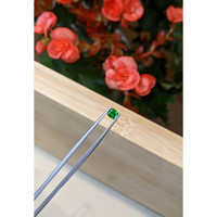 0.68 Ct. Chrome Tourmaline from Mozambique Life Style
