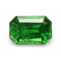 0.25 Ct. Chrome Tourmaline from Mozambique Video