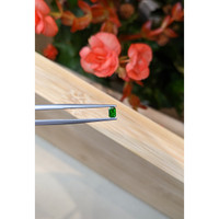 0.25 Ct. Chrome Tourmaline from Mozambique Life Style