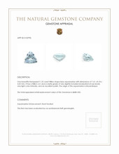 1.32 Ct. Aquamarine from Mozambique Appraisal