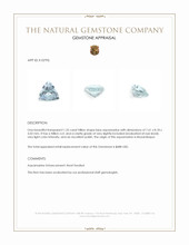 1.32 Ct. Aquamarine from Mozambique Appraisal