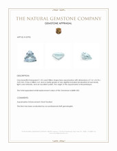 1.32 Ct. Blue Aquamarine from Mozambique Appraisal
