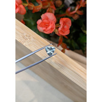 1.65 Ct. Aquamarine from Mozambique Life Style
