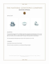 3.07 Ct. Aquamarine from Mozambique Appraisal