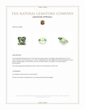 0.29 Ct. Tourmaline from Mozambique Appraisal