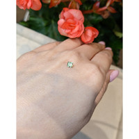 0.29 Ct. Tourmaline from Mozambique Life Style