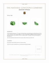 1.75 Ct. Demantoid Garnet from Madagascar Appraisal