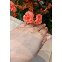 0.21 Ct. Tourmaline from Mozambique Life Style