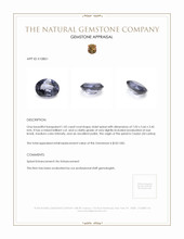 1.02 Ct. Spinel from Ceylon (Sri Lanka) Appraisal
