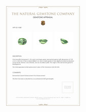 1.20 Ct. Demantoid Garnet from Madagascar Appraisal