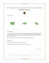 0.90 Ct. Demantoid Garnet from Madagascar Appraisal