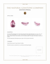3.64 Ct. Topaz from Ceylon (Sri Lanka) Appraisal