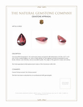 1.20 Ct. Garnet from Ceylon (Sri Lanka) Appraisal