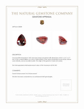 1.88 Ct. Garnet from Ceylon (Sri Lanka) Appraisal