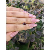1.16 Ct. Garnet from Ceylon (Sri Lanka) Life Style