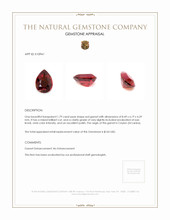 1.79 Ct. Garnet from Ceylon (Sri Lanka) Appraisal