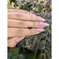 1.50 Ct. Garnet from Ceylon (Sri Lanka) Life Style