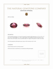 1.40 Ct. Garnet from Ceylon (Sri Lanka) Appraisal