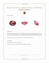 1.01 Ct. Purplish Red Garnet from Ceylon (Sri Lanka) Appraisal