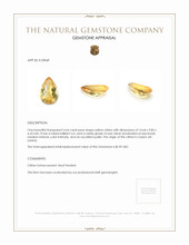 4.64 Ct. Citrine from Ceylon (Sri Lanka) Appraisal