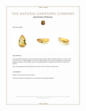 4.64 Ct. Citrine from Ceylon (Sri Lanka) Appraisal
