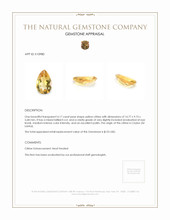 4.17 Ct. Citrine from Ceylon (Sri Lanka) Appraisal