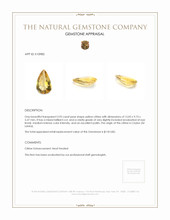 3.95 Ct. Citrine from Ceylon (Sri Lanka) Appraisal