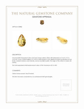 3.86 Ct. Citrine from Ceylon (Sri Lanka) Appraisal