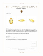 3.83 Ct. Citrine from Burma (Myanmar) Appraisal
