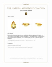 4.31 Ct. Citrine from Burma (Myanmar) Appraisal