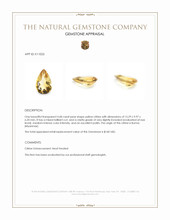 4.68 Ct. Citrine from Burma (Myanmar) Appraisal