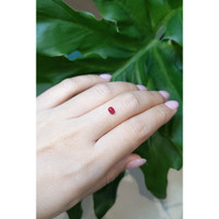 0.27 Ct. Cabochon Beryl from United States Life Style