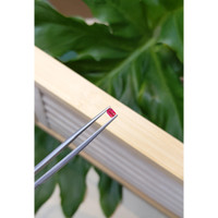 0.20 Ct. Beryl from United States Life Style