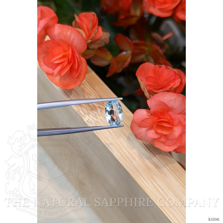 1.54 Ct. Aquamarine from Mozambique