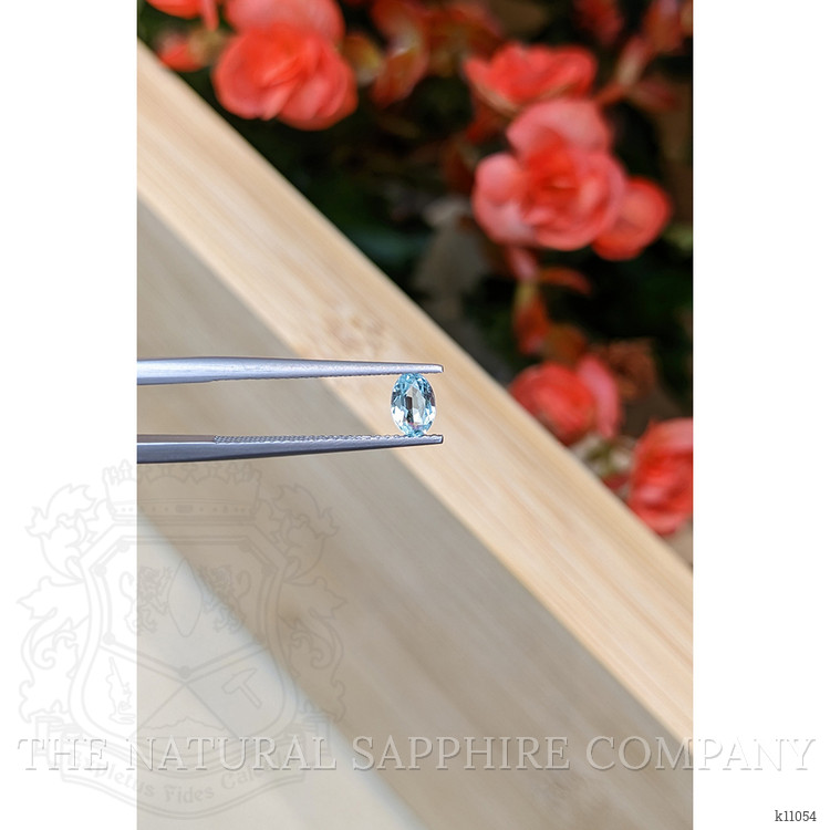 0.45 Ct. Aquamarine from Mozambique