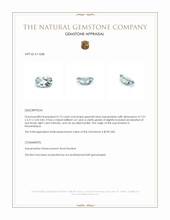 0.73 Ct. Aquamarine from Mozambique Appraisal