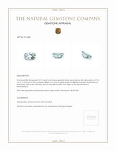 0.73 Ct. Aquamarine from Mozambique Appraisal