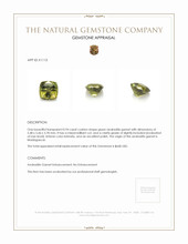 0.94 Ct. Andradite Garnet from Madagascar Appraisal