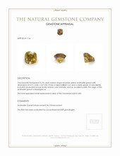 0.70 Ct. Andradite Garnet from Madagascar Appraisal