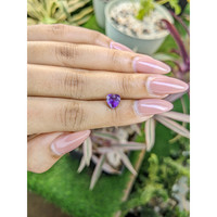 1.17 Ct. Amethyst from Africa Life Style