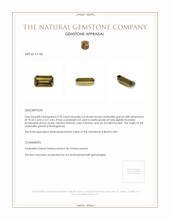 2.95 Ct. Andradite Garnet from Madagascar Appraisal