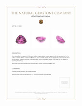0.98 Ct. Garnet from Ceylon (Sri Lanka) Appraisal