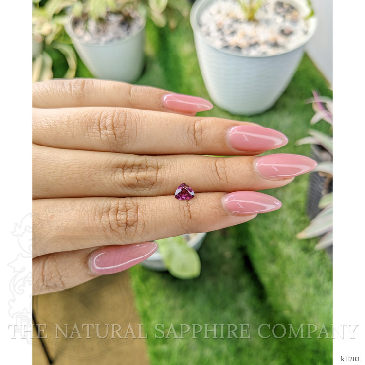 0.98 Ct. Garnet from Ceylon (Sri Lanka)