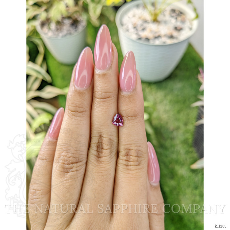 0.98 Ct. Garnet from Ceylon (Sri Lanka)