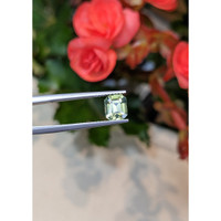 1.85 Ct. Zircon from Ceylon (Sri Lanka) Life Style