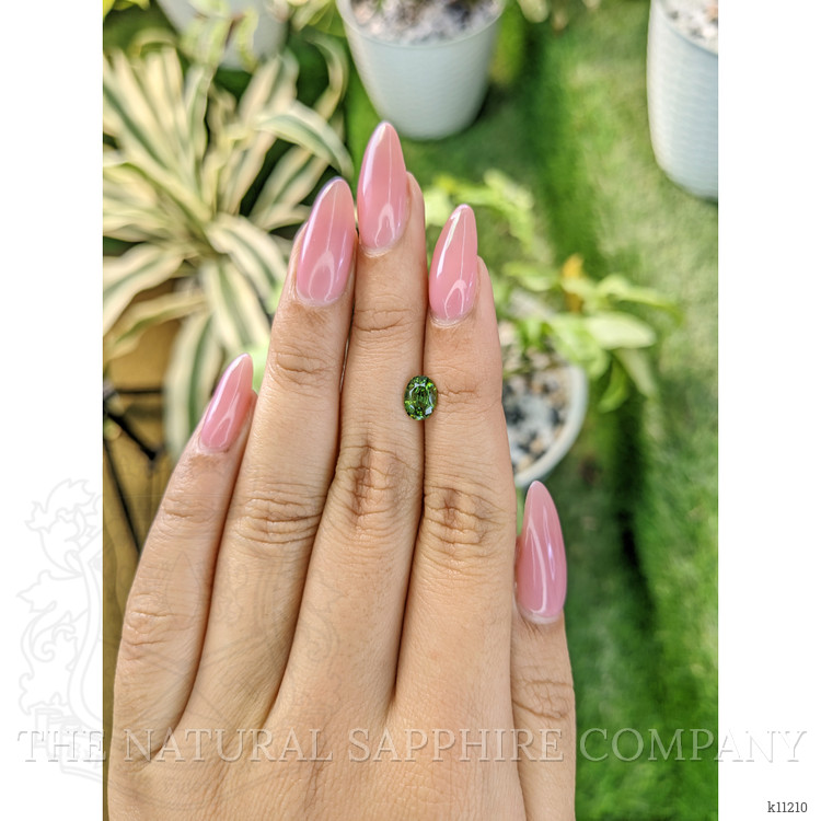 1.16 Ct. Tourmaline from Ceylon (Sri Lanka)